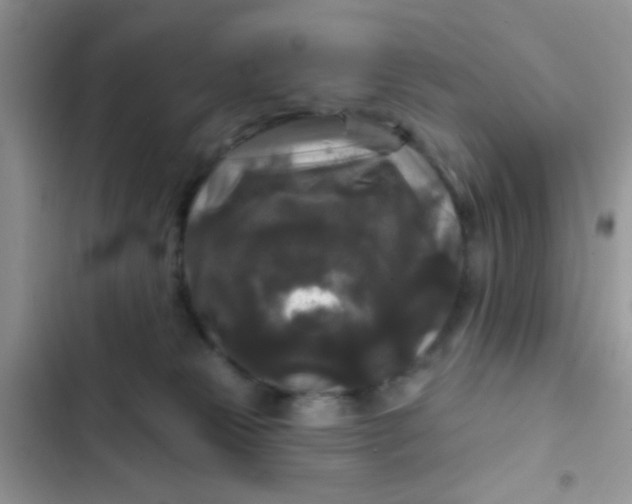 X0000102540181200808221937