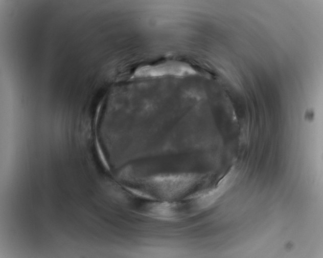 X0000102540182200808221937