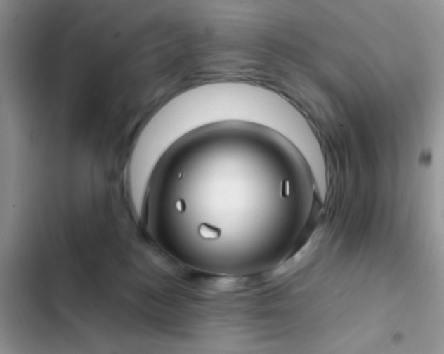 X0000102540184200808221937