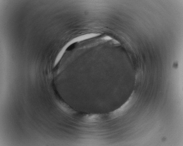 X0000102540186200808221937