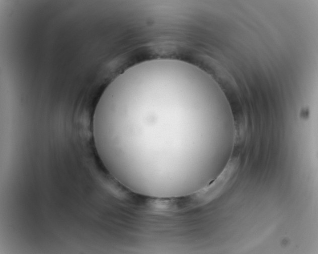 X0000102540187200808221937
