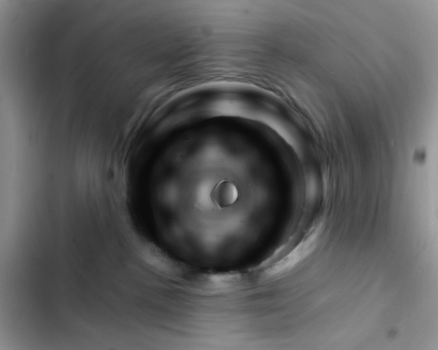 X0000102540188200808221937