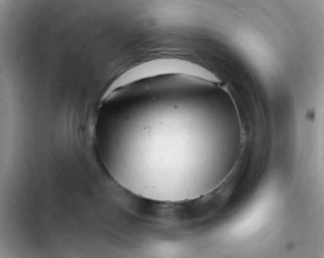 X0000102540190200808221937