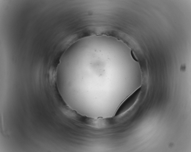 X0000102540191200808221937