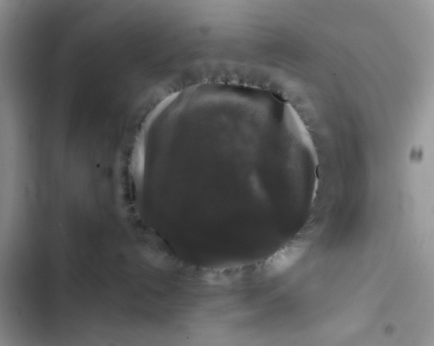 X0000102540192200808221937
