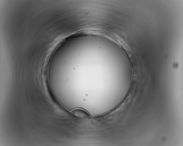 X0000102540193200808221937