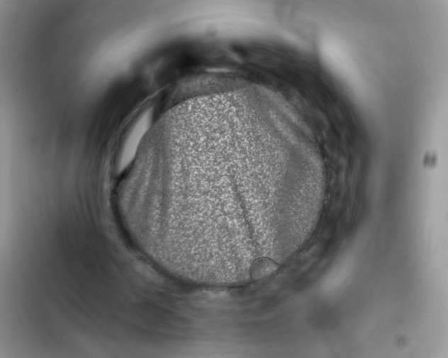X0000102540194200808221936