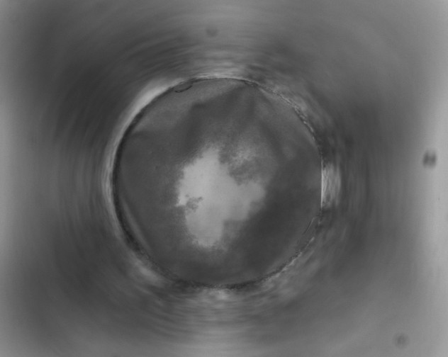 X0000102540195200808221936