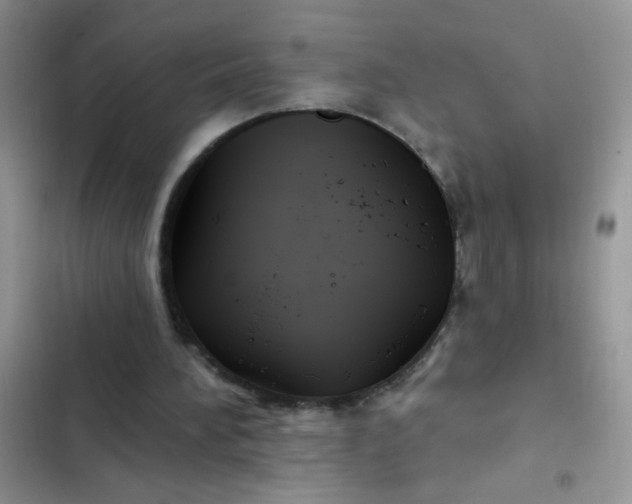 X0000102540196200808221936