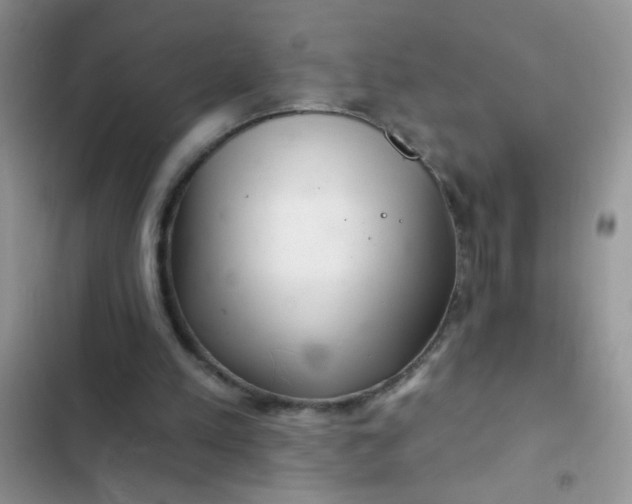 X0000102540197200808221936