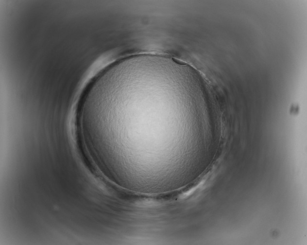 X0000102540198200808221936