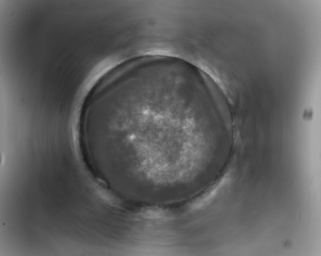 X0000102540199200808221936