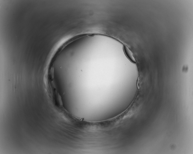 X0000102540200200808221936