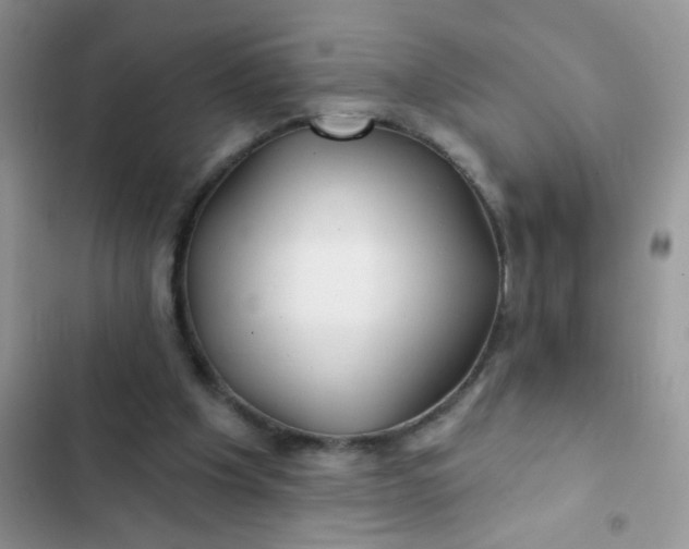 X0000102540201200808221936