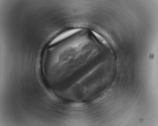 X0000102540202200808221936