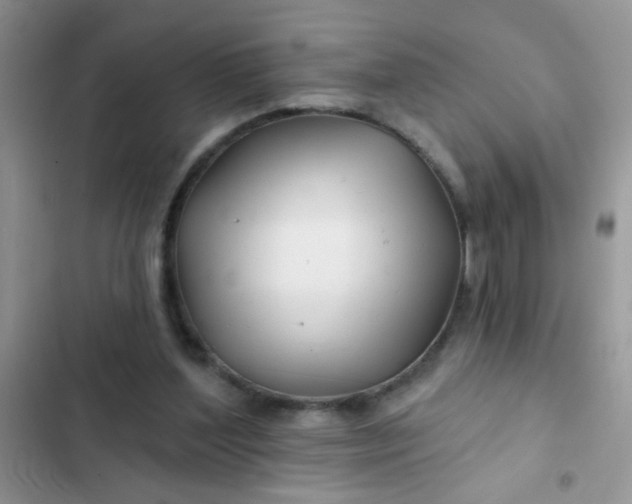 X0000102540204200808221936