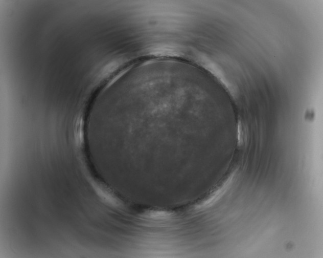X0000102540205200808221936