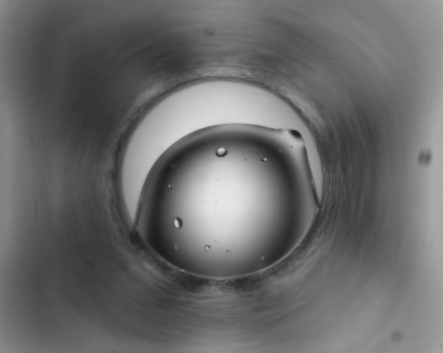 X0000102540207200808221936