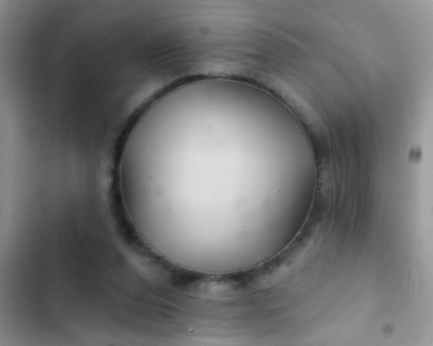 X0000102540208200808221936