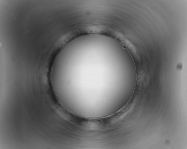 X0000102540209200808221936