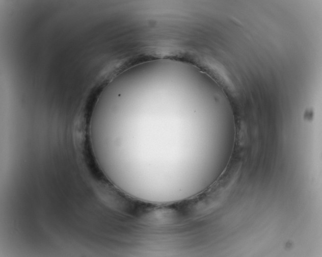 X0000102540210200808221936