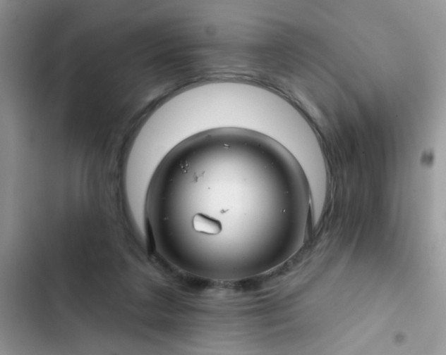 X0000102540211200808221936