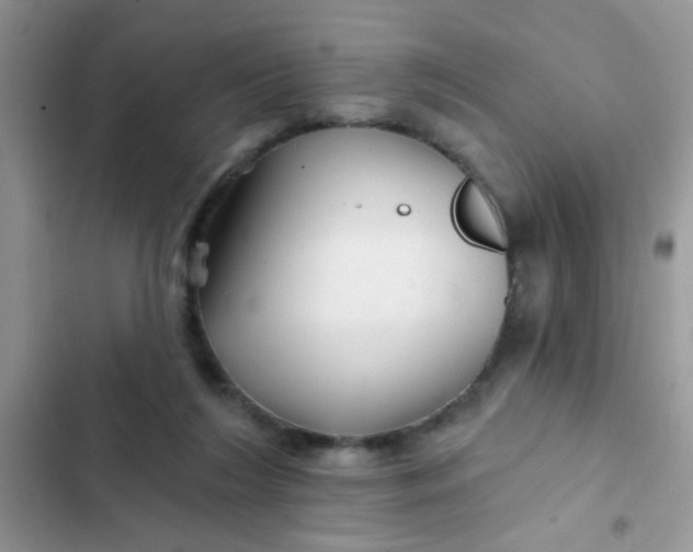 X0000102540212200808221936