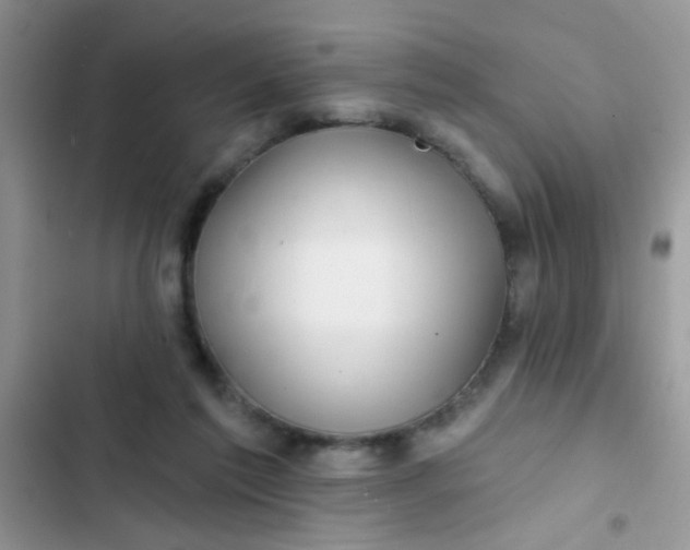 X0000102540213200808221936