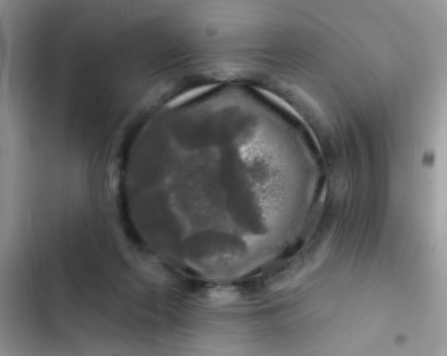 X0000102540214200808221936