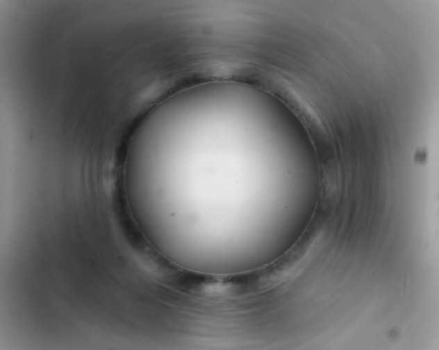 X0000102540216200808221936