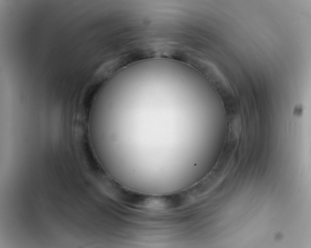 X0000102540218200808221936
