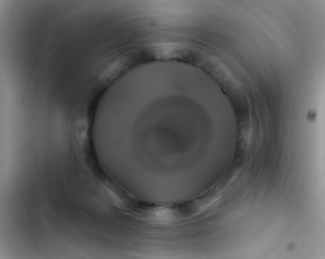 X0000102540219200808221936