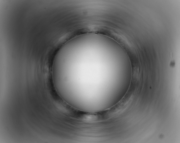 X0000102540220200808221936