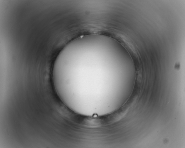 X0000102540221200808221936