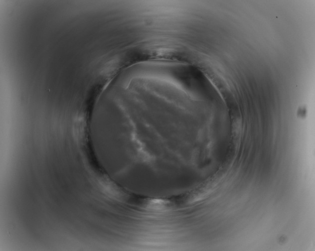 X0000102540222200808221936