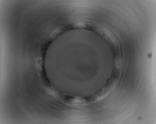 X0000102540223200808221936
