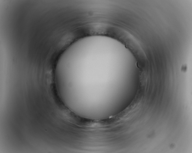 X0000102540224200808221936