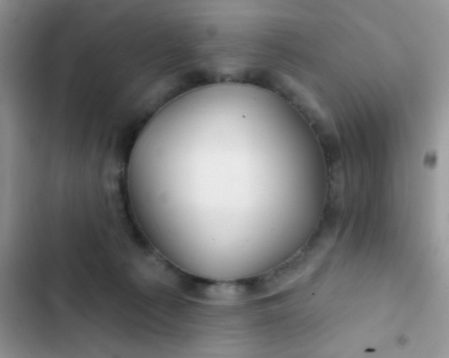 X0000102540225200808221936