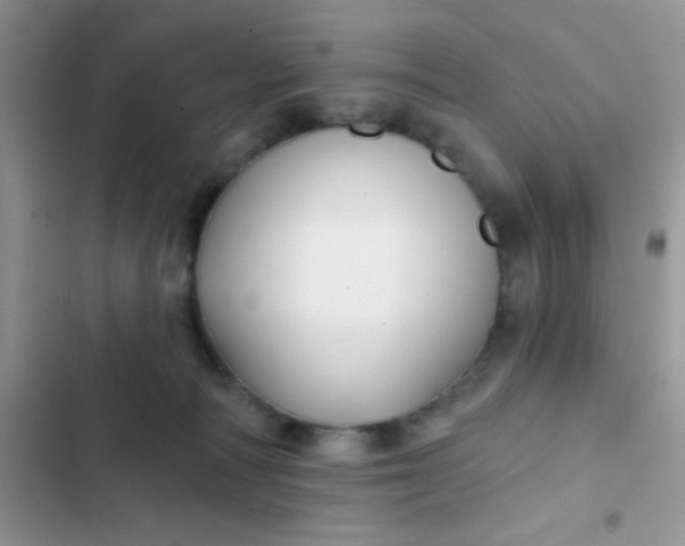X0000102540226200808221936