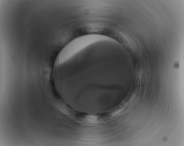 X0000102540227200808221936
