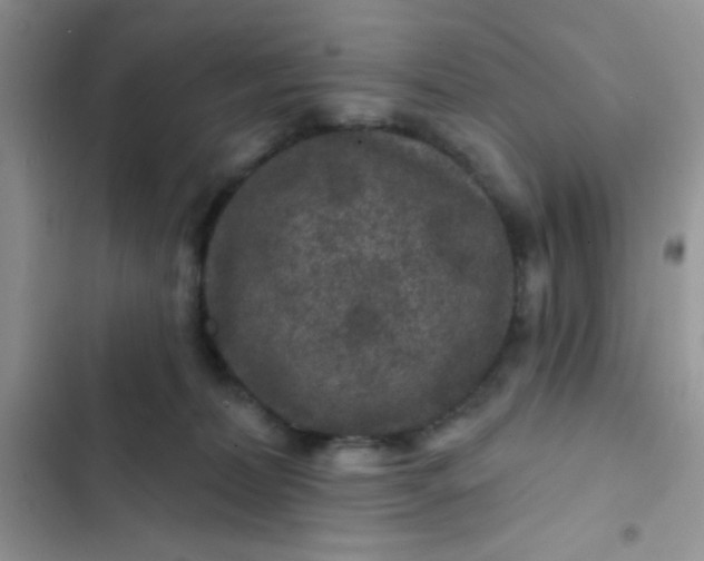 X0000102540228200808221936