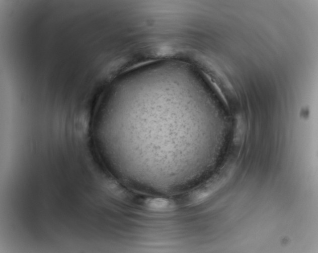 X0000102540230200808221936