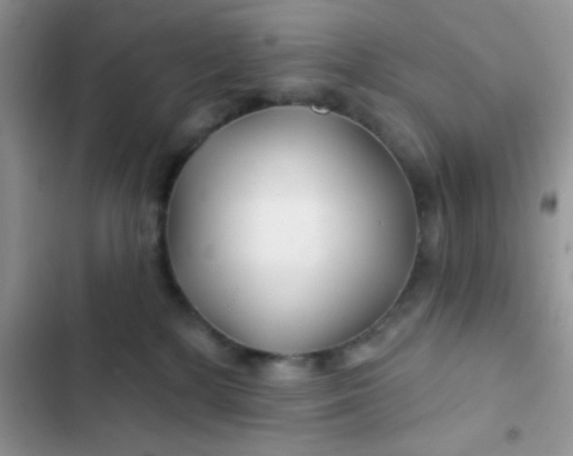 X0000102540232200808221936