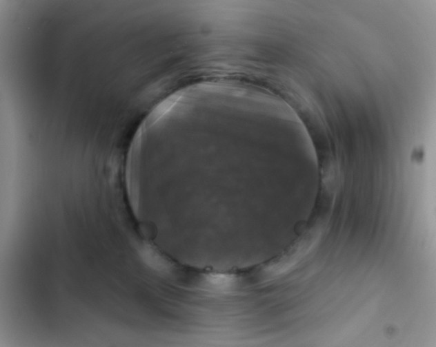 X0000102540233200808221936