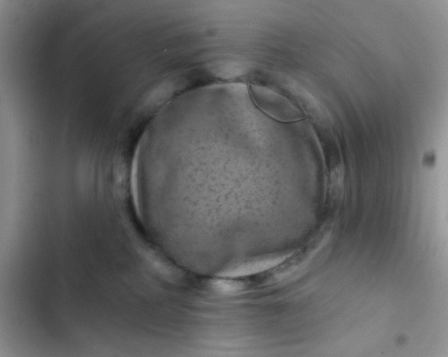 X0000102540234200808221936