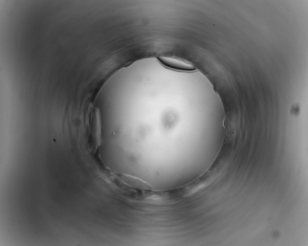 X0000102540236200808221936