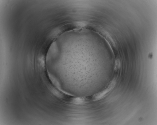 X0000102540238200808221936