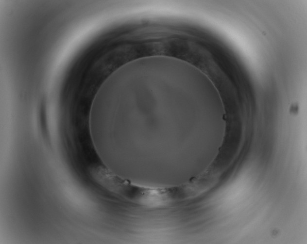 X0000102540239200808221936