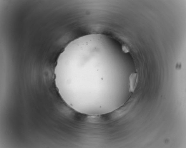 X0000102540240200808221936