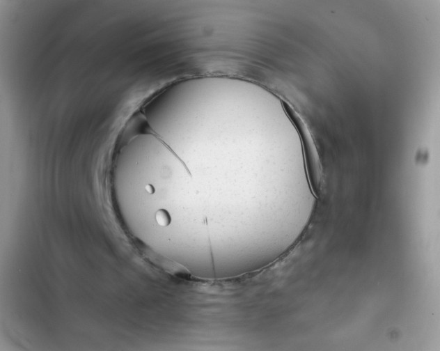 X0000102540241200808221935